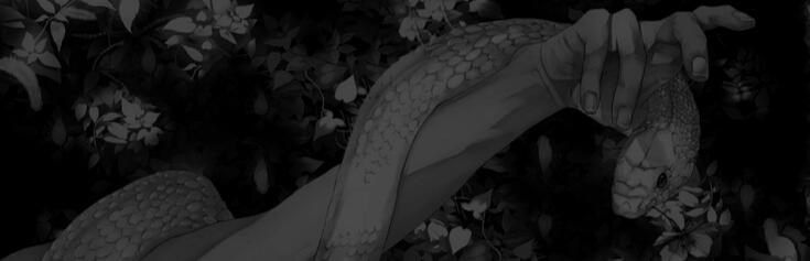 overlays (gif)